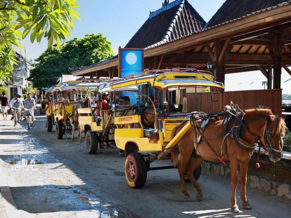 Pinkcoco Gili Trawangan - Constant Surprises - For Cool Adults Only Hotell Eksteriør bilde